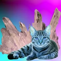 cat-gif